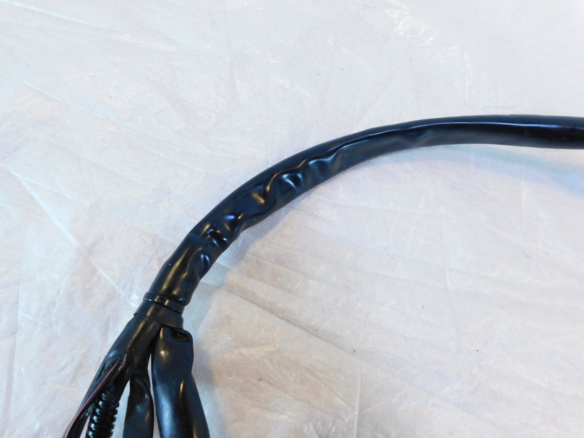2004 2005 Harley Davidson Road King & Electra Glide EFI ECM Wire Wiring Harness - C3 Cycle