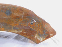 1997-1999 Harley Davidson Softail Custom Springer Rusty Rear Wheel Cover Fender - C3 Cycle