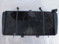 2002-2004 Triumph Sprint 955 ST RS Engine Motor Water Cooling Radiator - C3 Cycle