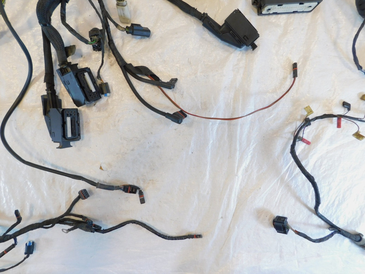 2011-2013 BMW R1200RT ESA Cruise Control Main Electric Wire Harness Wiring Loom - C3 Cycle
