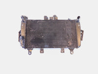 2007 2008 2009 2010 2011 2012 Triumph Tiger 1050 Engine Motor Cooling Radiator - C3 Cycle