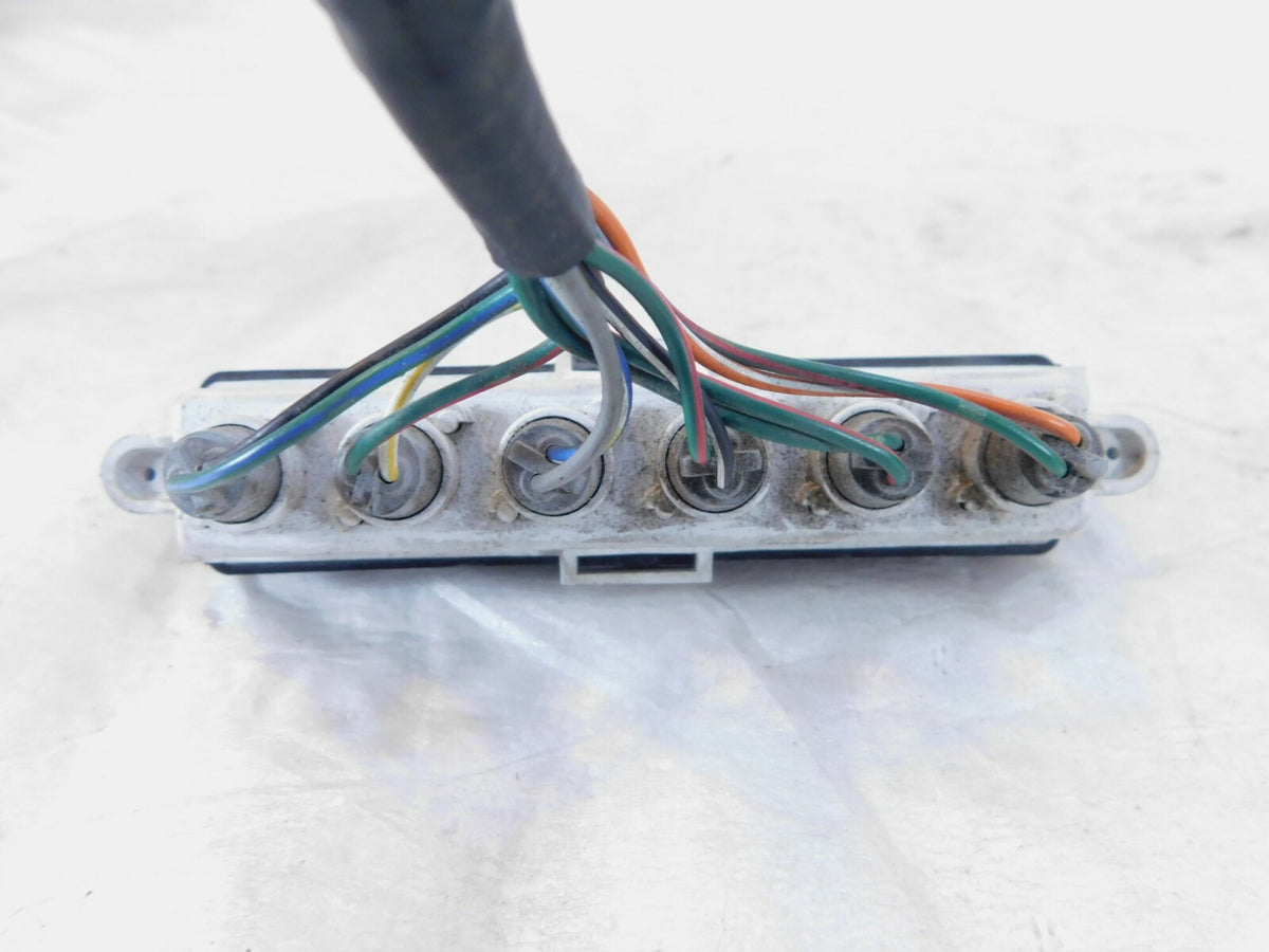 1999-2004 Triumph Sprint ST 955 955i Dash Pilot Indicator Lights & Wire Harness - C3 Cycle