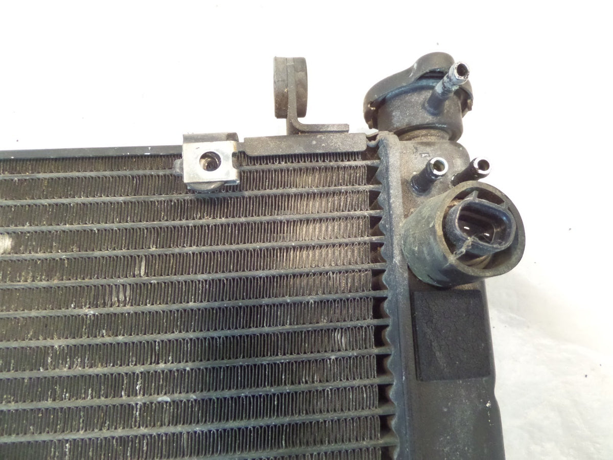 1999-2002 Yamaha YZFR6 R6 Engine Motor Cooling Radiator 5EB-12461-00-00 - C3 Cycle