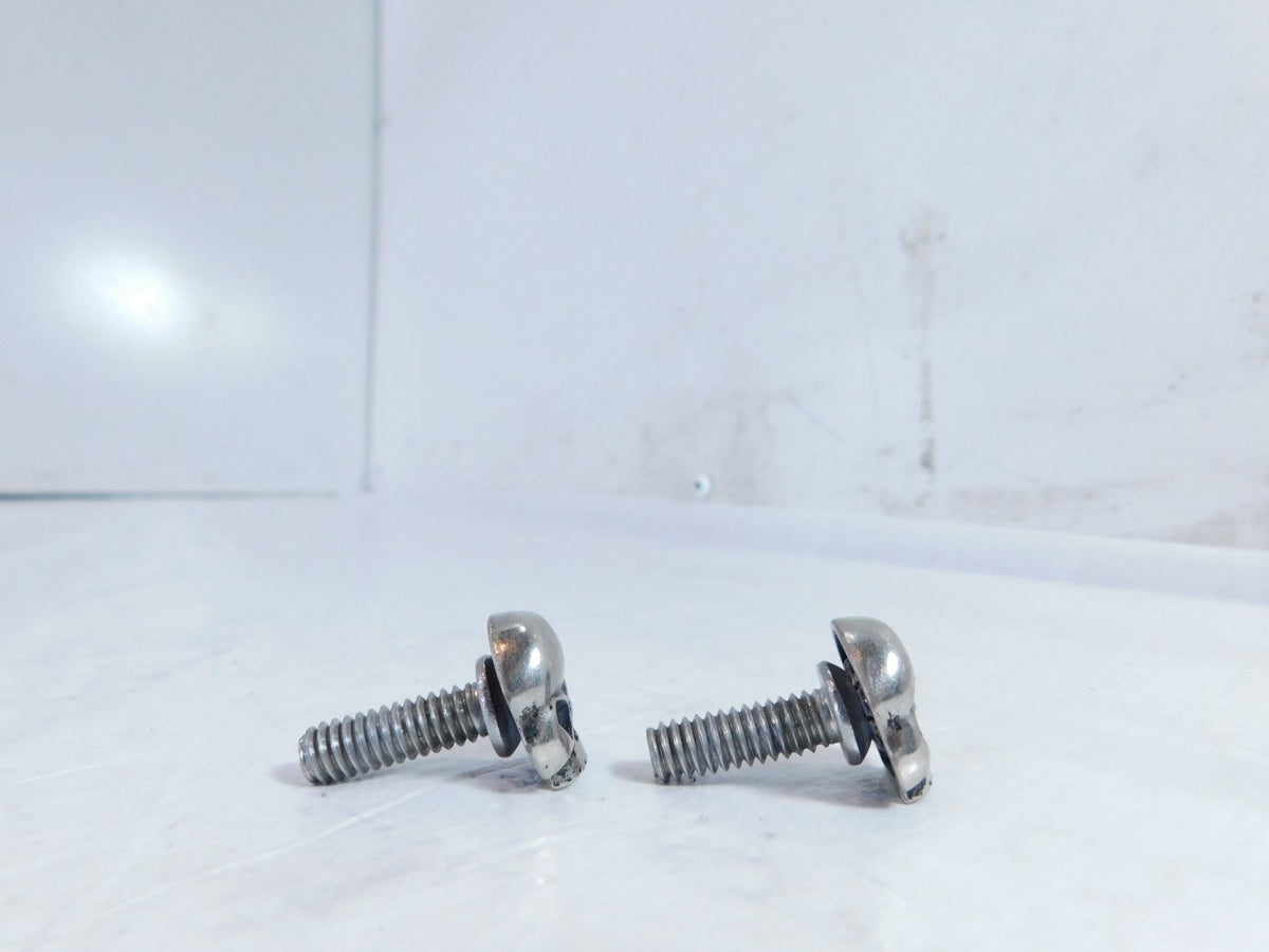 Harley Davidson Sportster Dyna Softail & Touring Licence Plate Skull Head Screws - C3 Cycle