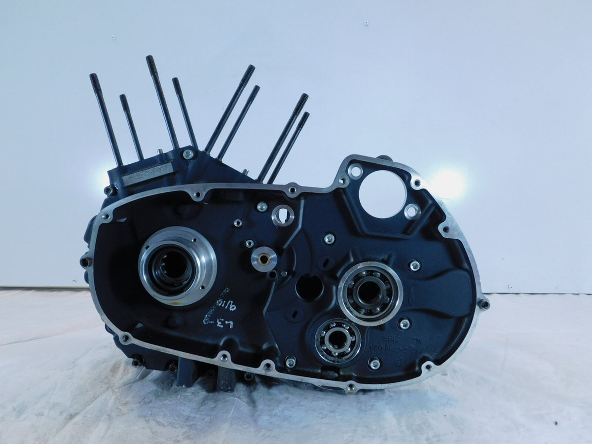 2009-10 Buell XB XB9 XB12 Firebolt Lighting Ulysses Engine Crankcase Crank Cases - C3 Cycle