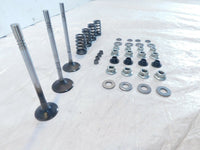 Victory Vision Kingpin & Vegas Exhaust & Intake Valves w/ Retainers & Springs - C3 Cycle