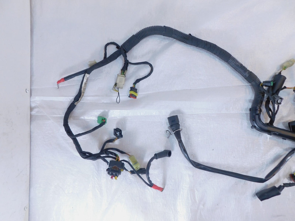 2014-2017 Aprilia Caponord 1200 Rally Main Wire Harness Wiring Loom - For parts - C3 Cycle