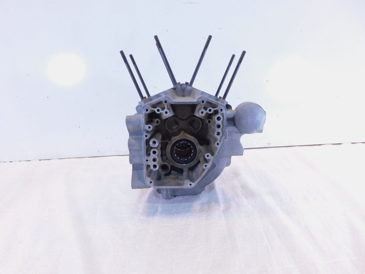 Harley Davidson Road King Electra Glide & Dyna Silver Engine Motor Crank Cases - C3 Cycle