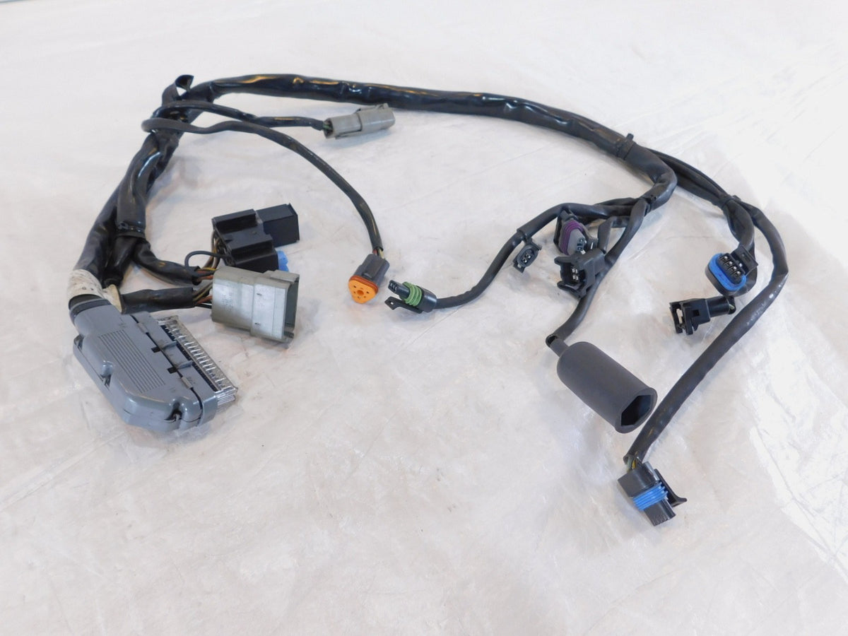 2004 2005 Harley Davidson Road King & Electra Glide EFI ECM Wire Wiring Harness - C3 Cycle