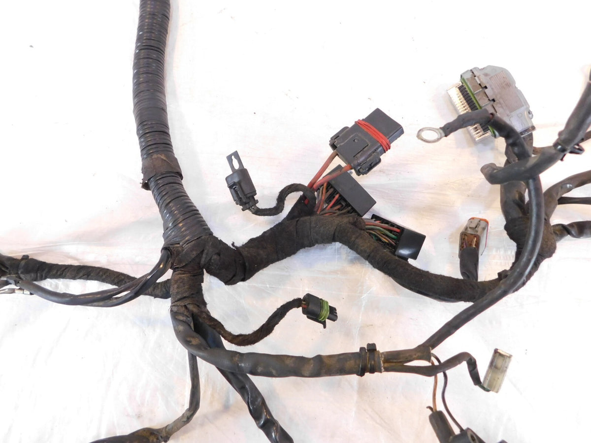 2007 07 Harley Davidson Dyna Low Rider & Street Bob Main Wiring Harness Loom - C3 Cycle