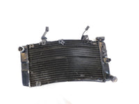 2002-2009 & 2012 Suzuki V-Strom DL1000 1000 Radiator Coolant Cooling - No Leaks - C3 Cycle