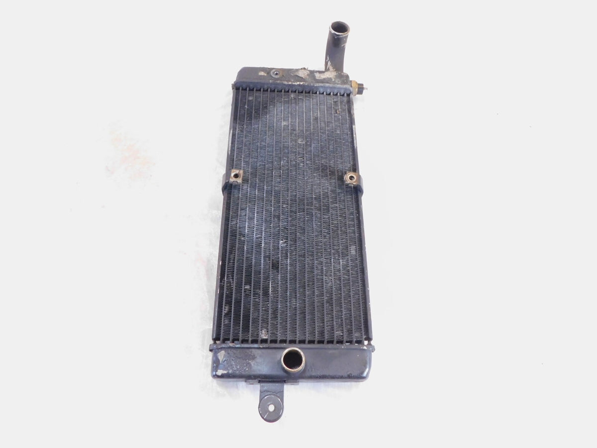 Honda VT750 VT750C Shadow 750 ACE Deluxe & Spirit Front Engine Coolant Radiator - C3 Cycle