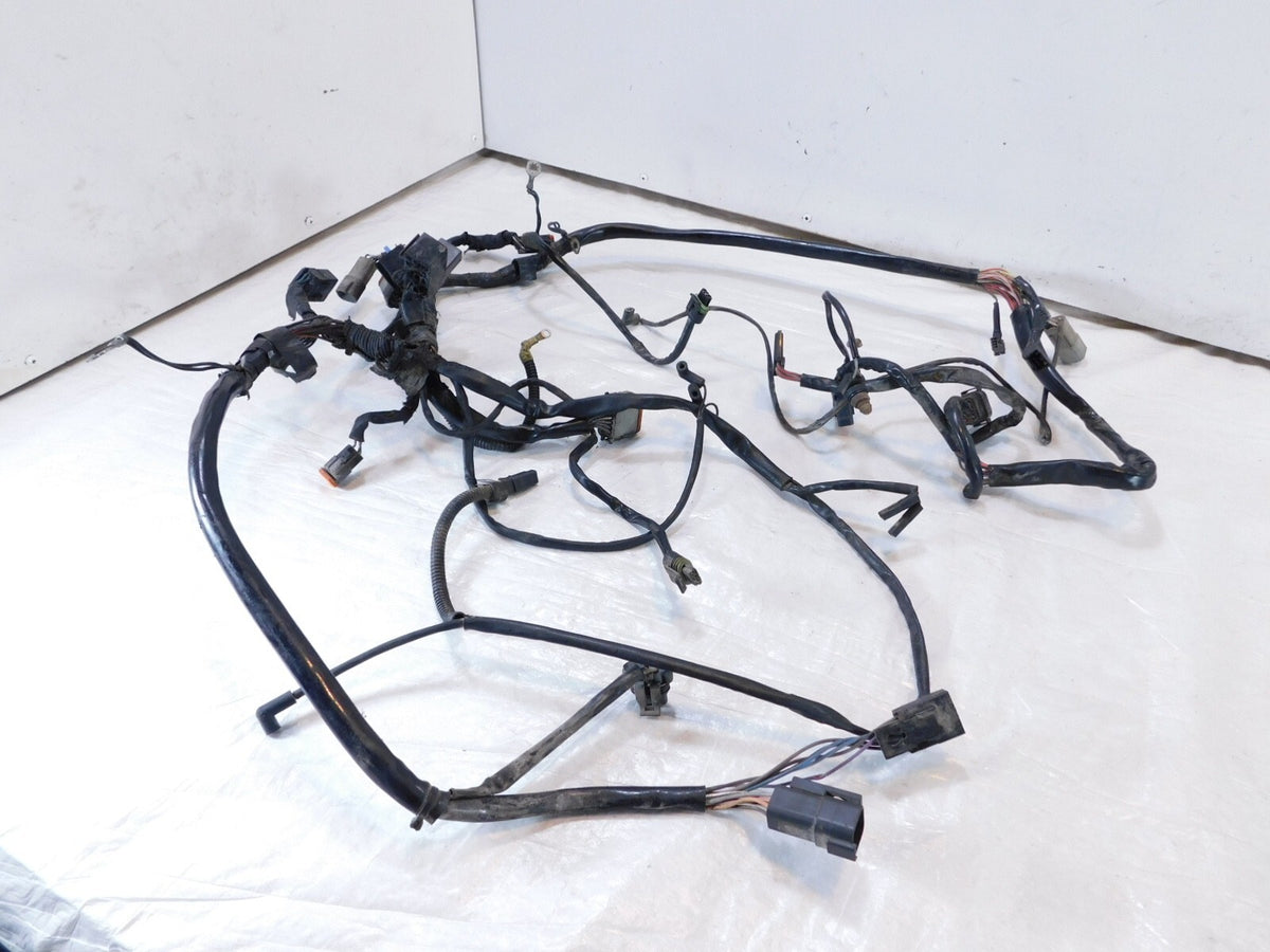 2001 & 2002 Harley Davidson Softail Fat Boy & Deuce Main Wiring Wire Harness - C3 Cycle