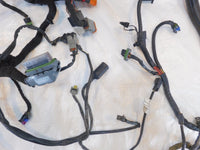 Harley Davidson Dyna Fat Bob Wide & Super Glide Custom Main Wiring Wire Harness - C3 Cycle