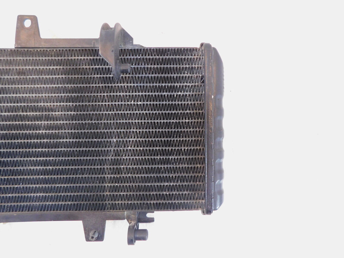 BMW F800 F800R F800S F800ST F700GS F650GS Engine Motor Water Cooling Radiator - C3 Cycle