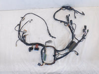 Harley Davidson Softail Heritage Classic & Fat Boy EFI Main Wire Wiring Harness - C3 Cycle