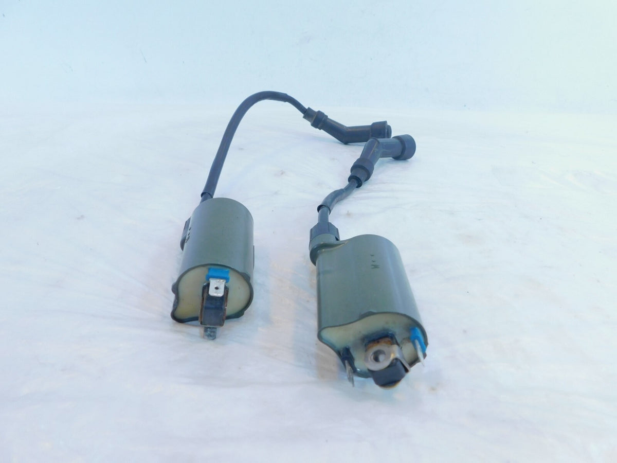 Honda NT700 NT700V NT700VA Deauville Front & Rear Ignition Coils w/ Plug Wires - C3 Cycle