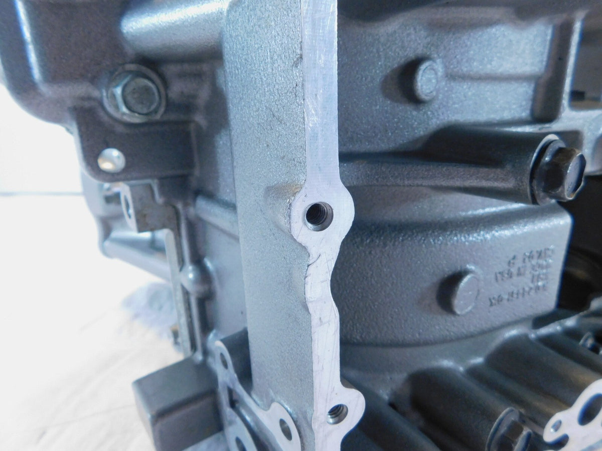 2003 Harley Davidson V-Rod VRod VRSCA Silver 100th Anniversary Crankcase - C3 Cycle