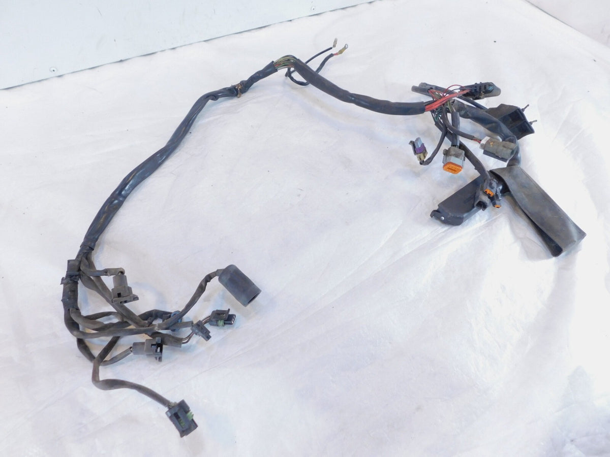 Harley Davidson Electra Glide Classic & Ultra Classic Fuel Injection EFI Harness - C3 Cycle