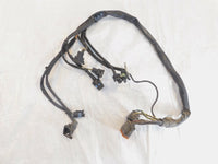 Harley Touring Electra Glide Road King Fuel Injection Throttle Wiring Harness
