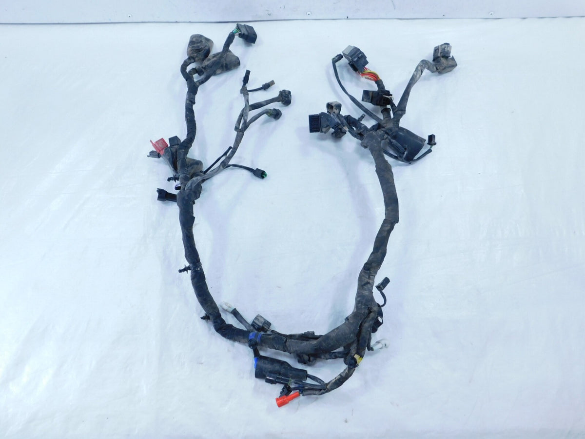 2021 21 Royal Enfield Himalayan 410 LS410 USA Main Wire Harness Wiring Loom - C3 Cycle