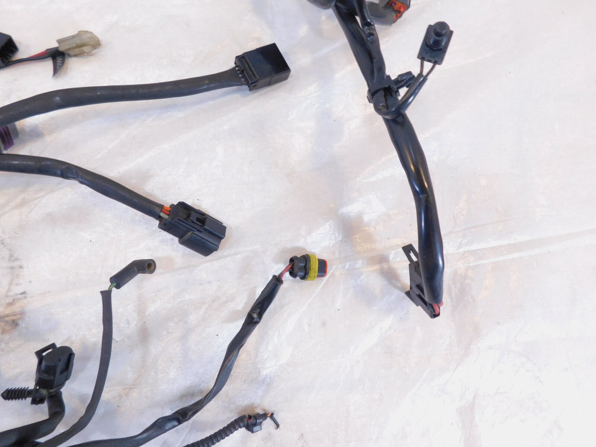 2007 Harley Davidson Softail Heritage Classic & Fat Boy Main Wire Wiring Harness - C3 Cycle