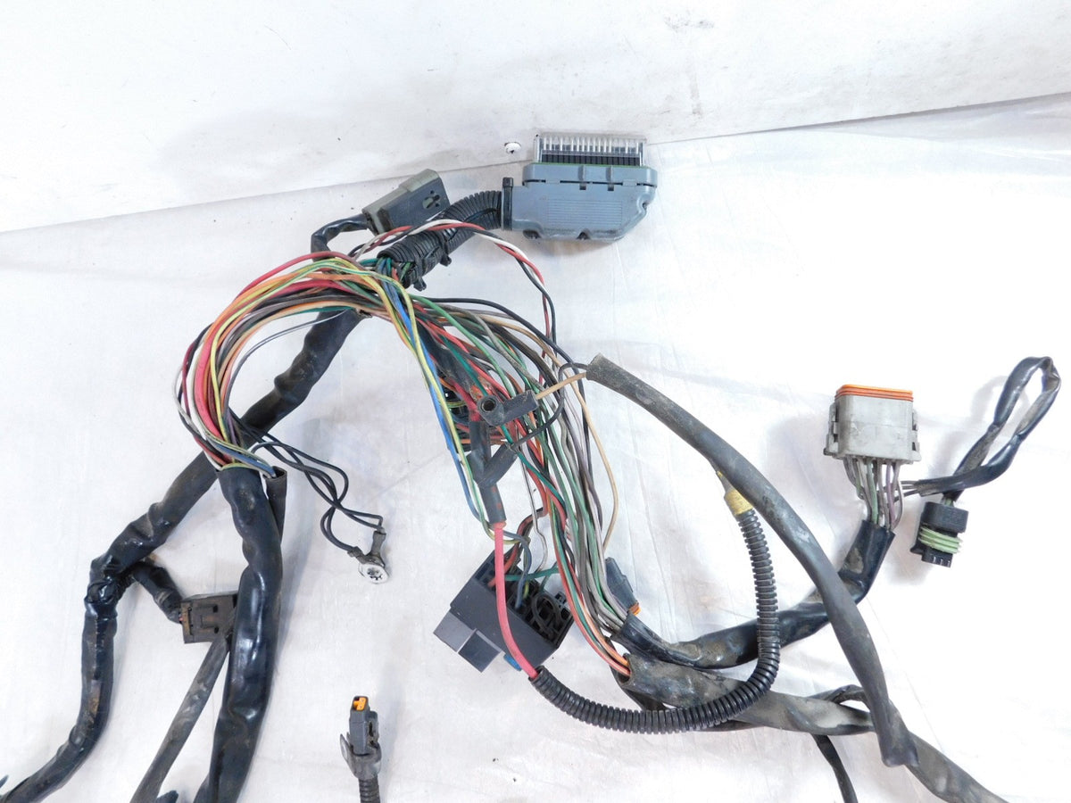 Harley Davidson Softail Heritage Classic & Fat Boy EFI Main Wire Wiring Harness - C3 Cycle