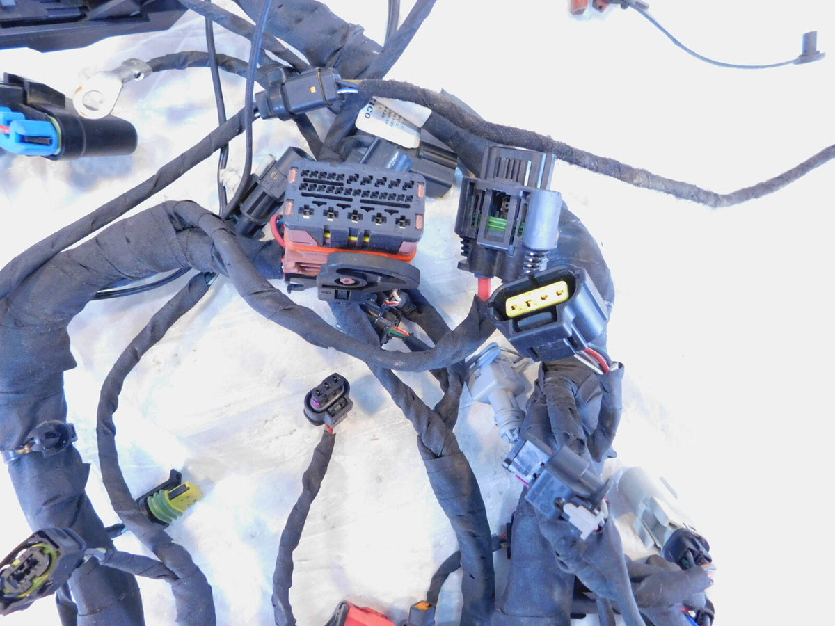 Harley Davidson Sportster S 1250 RH1250S Main Engine Wire Wiring Harness Loom