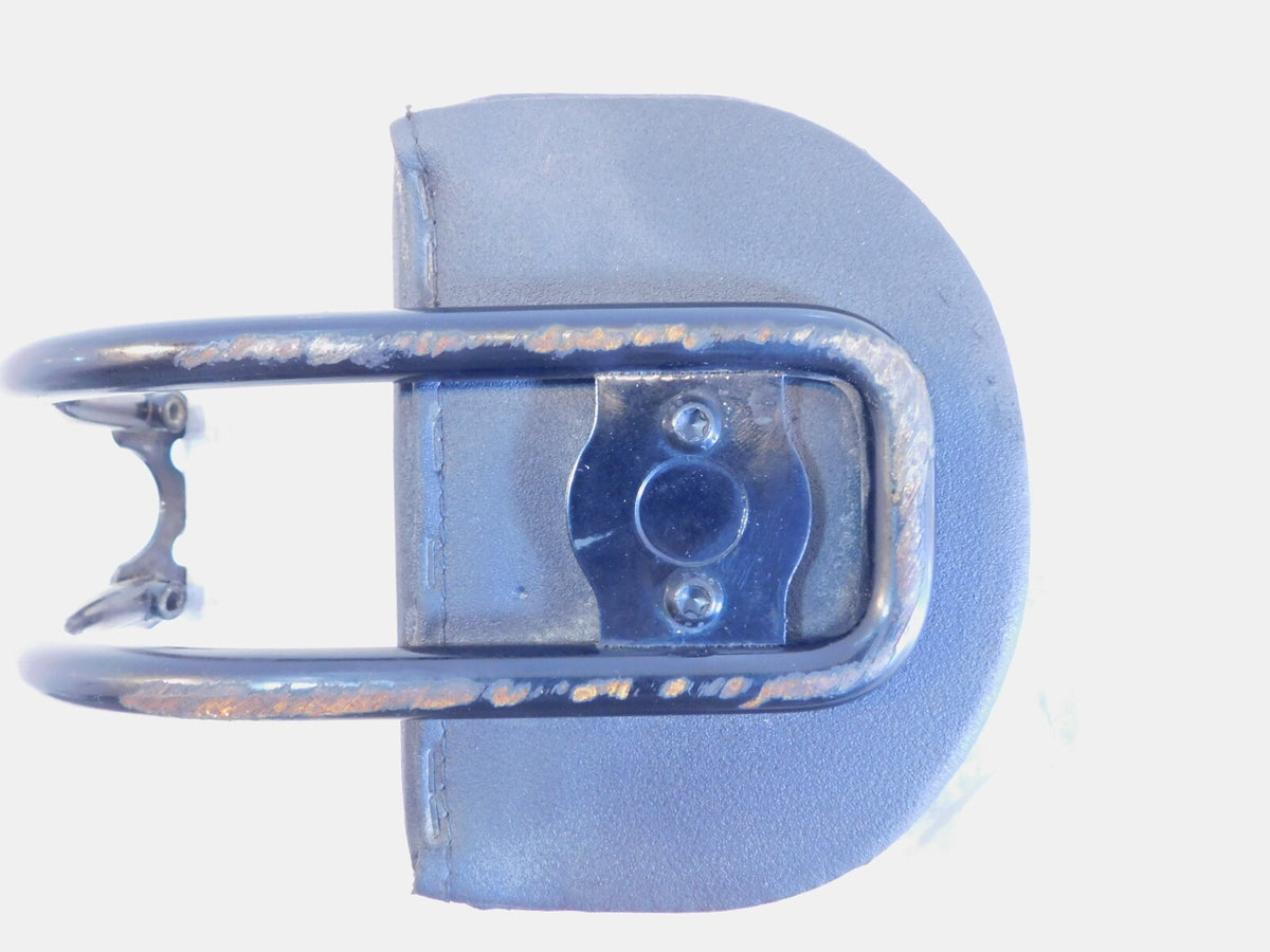 Harley Davidson Sportster S 1250 RH1250S Sissybar Rear Passenger Backrest