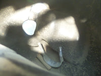 1999 Harley Davidson Electra Glide Ultra Classic Right Fairing Lower Glove Box - C3 Cycle