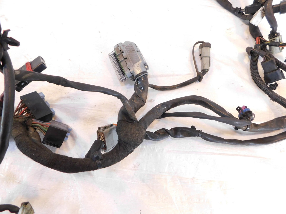 2007 07 Harley Davidson Dyna Low Rider & Street Bob Main Wiring Harness Loom - C3 Cycle