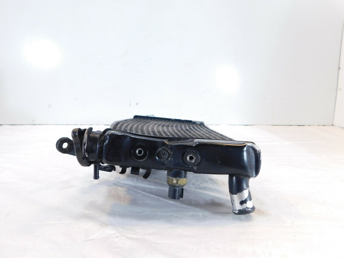 2002-2009 & 2012 Suzuki V-Strom DL1000 1000 Radiator Coolant Cooling - No Leaks - C3 Cycle