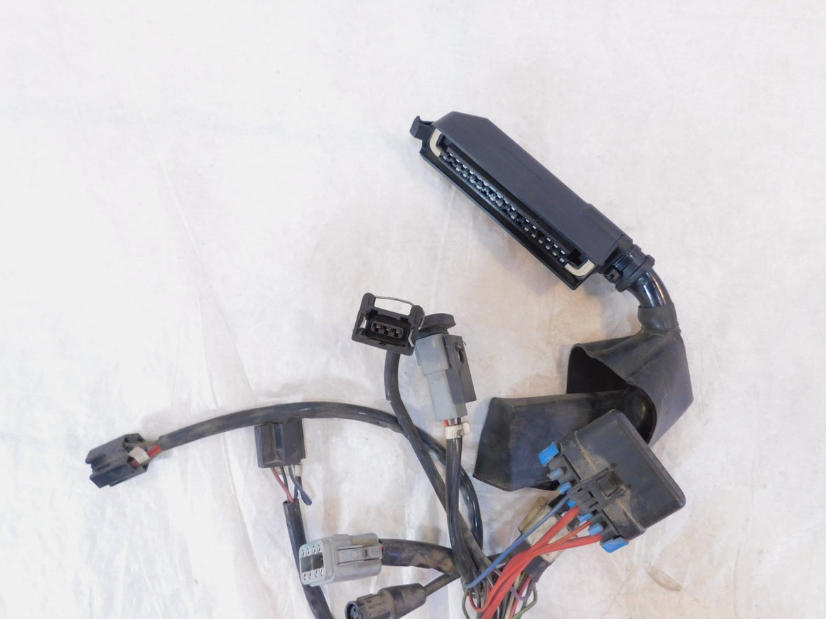 Harley Davidson Electra Glide Ultra Classic EFI Fuel Injection Wiring Harness - C3 Cycle