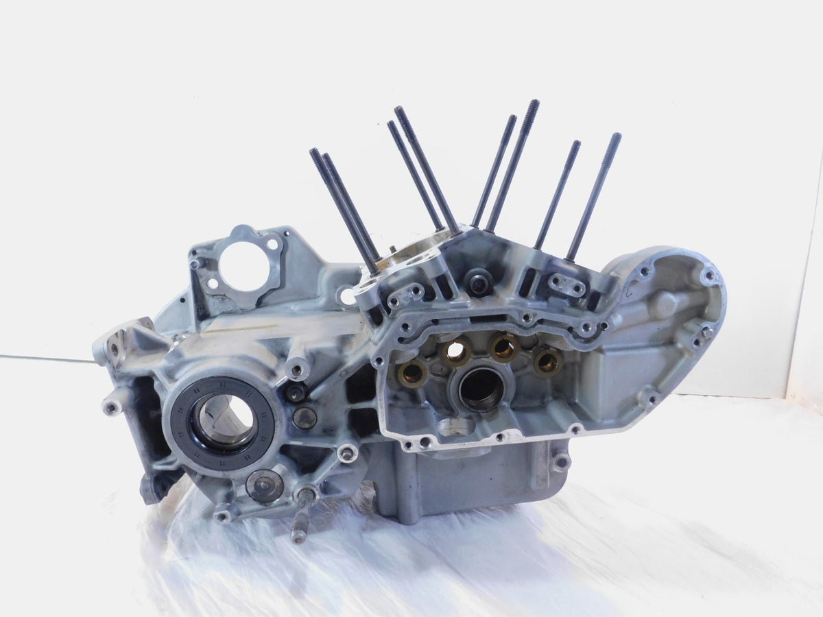 Harley Davidson Sportster 883 & 1200 Silver Crankcase Cases Engine Motor Block - C3 Cycle