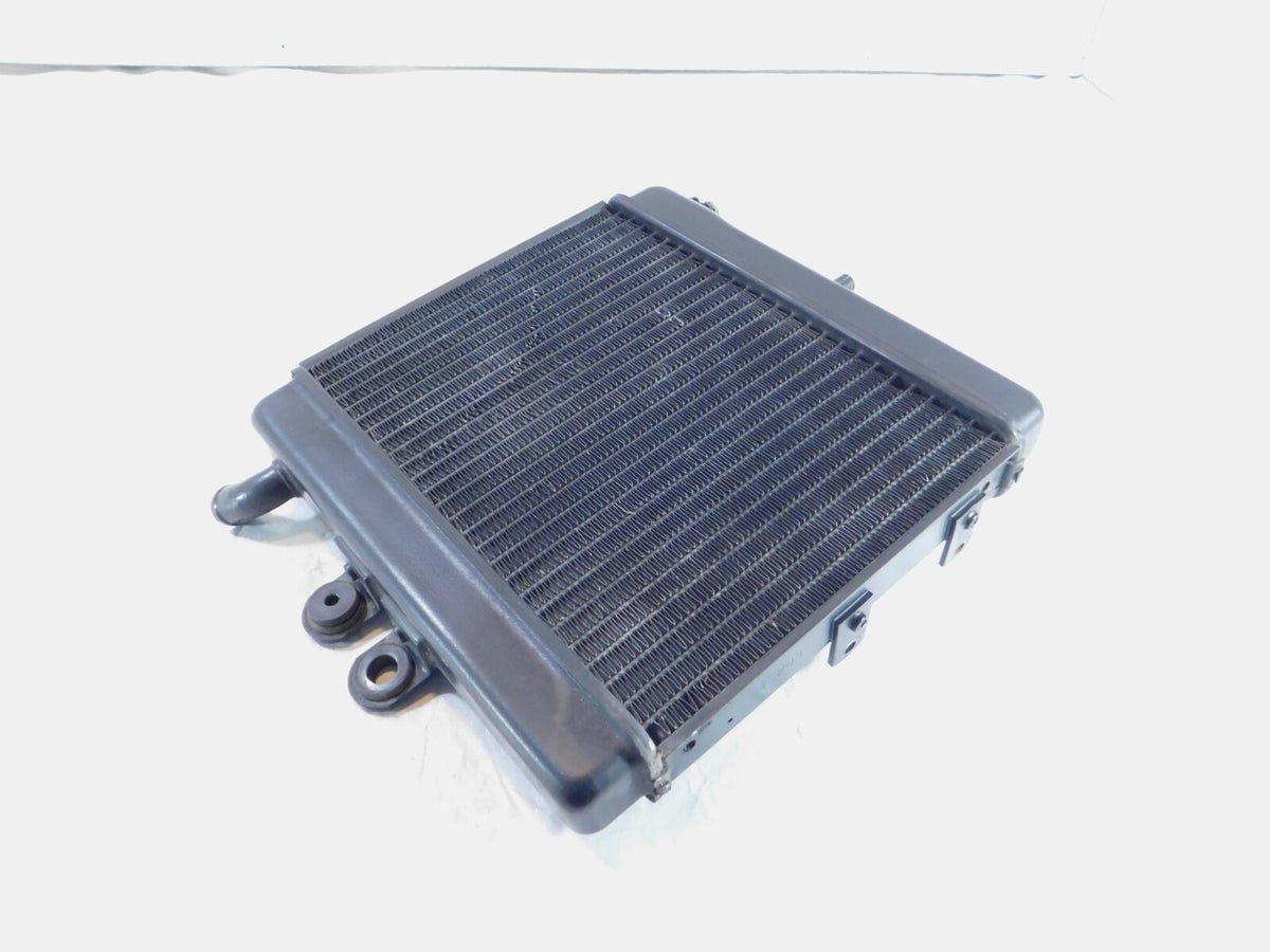 2002 MZ Skorpion Tour MZ660 660cc Black Motor Engine Oil Cooling Cooler Radiator