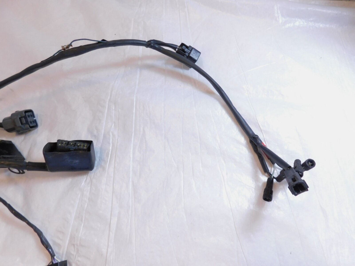 2007 2008 2009 2010 2011 2012 Triumph Tiger 1050 Main Wire Harness Wiring Loom - C3 Cycle