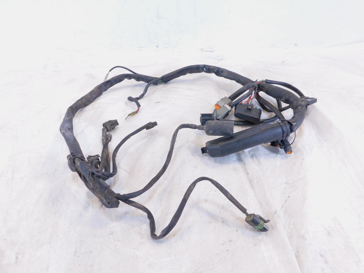 Harley Davidson Electra Glide Classic & Ultra Classic Fuel Injection EFI Harness - C3 Cycle