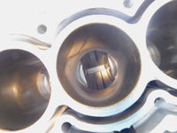 2019 2020 2021 2022 Can-Am Ryker 900 Rally Engine Motor Block Cylinder Crankcase - C3 Cycle