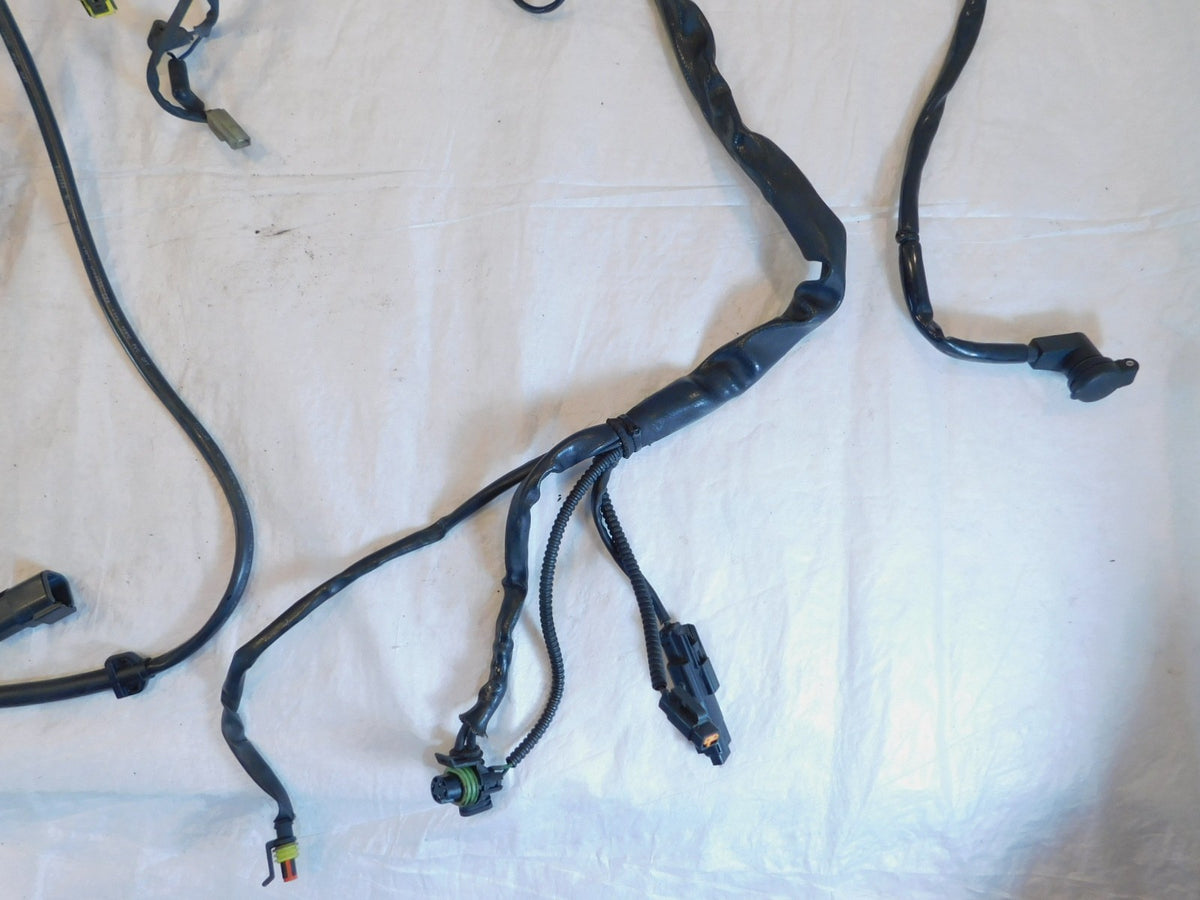 Harley Davidson Touring Road Street & Electra Glide Main Wire Wiring Harness - C3 Cycle