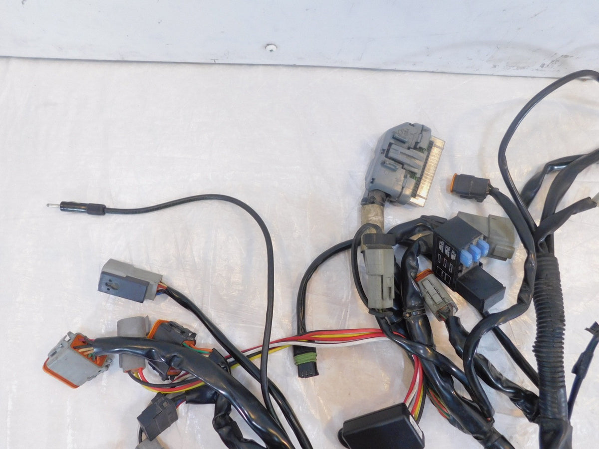 Harley Davidson Touring Road & Electra Glide Main & EFI Wiring Wire Harness Loom - C3 Cycle