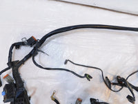 2001 & 2002 Harley Davidson Softail Fat Boy & Deuce Main Wiring Wire Harness - C3 Cycle