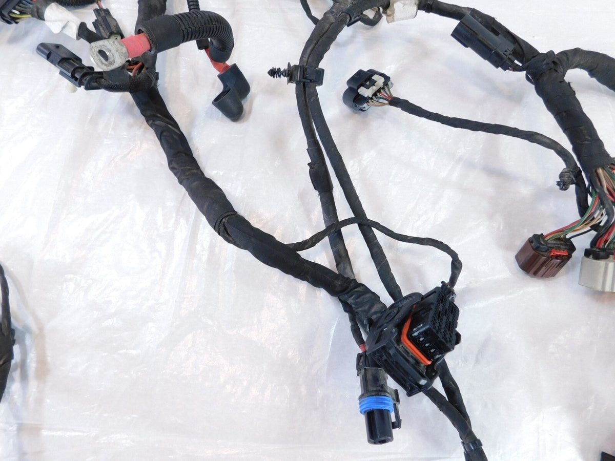 2018-2020 Harley Davidson Softail Low Rider & Fat Boy Main Wire Wiring Harness