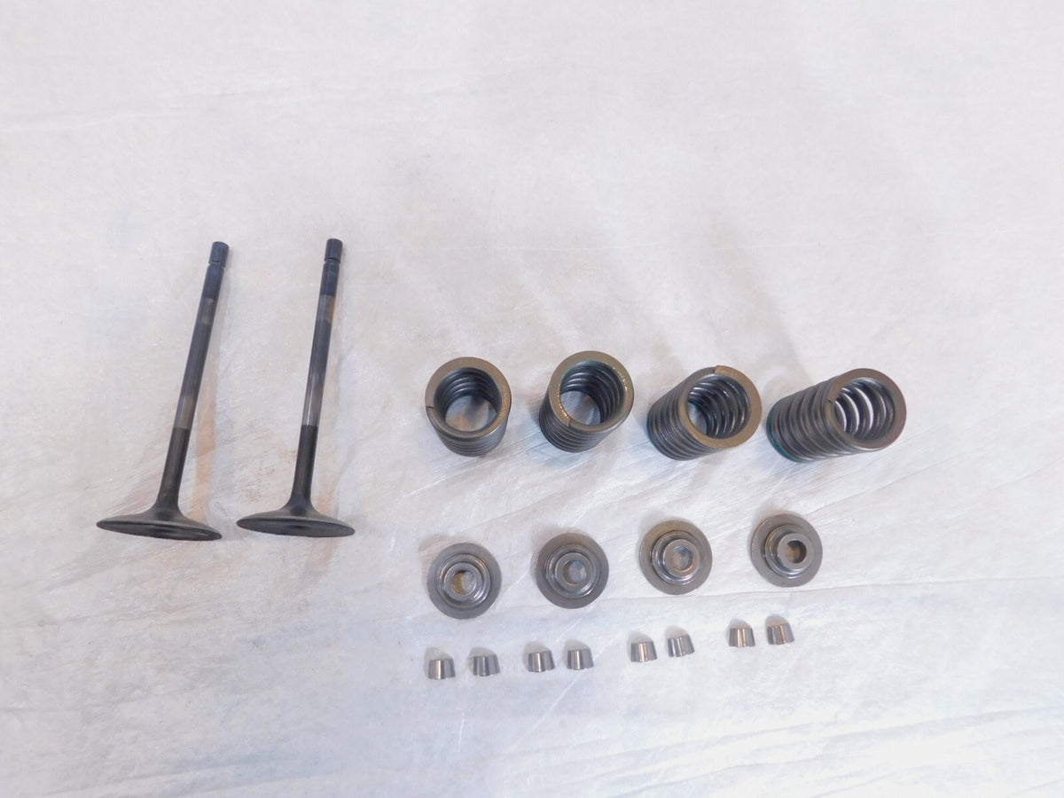 2020-2022 Indian Challenger Limited Dark Horse Intake & Exhaust Valves & Springs - C3 Cycle