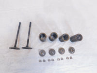 2020-2022 Indian Challenger Limited Dark Horse Intake & Exhaust Valves & Springs - C3 Cycle