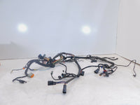 01-02 Harley Davidson Softail Heritage Classic & Fat Boy EFI Wire Wiring Harness - C3 Cycle