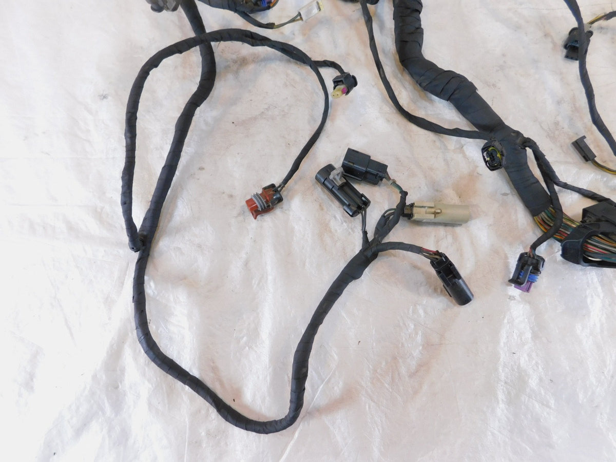 Harley Davidson Pan America RA1250 1250 1250S Engine Wire Wiring Harness Loom - C3 Cycle