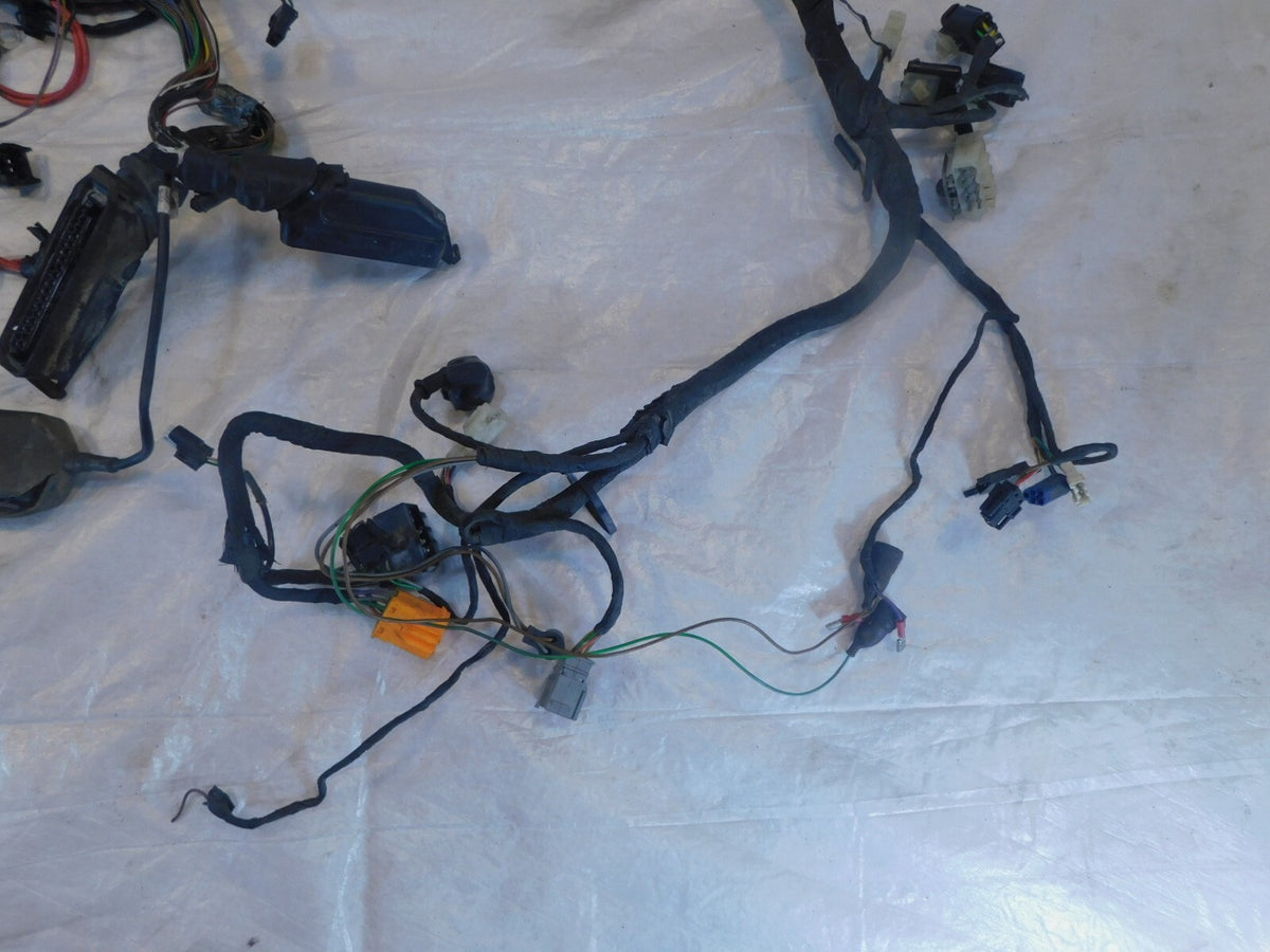 1995-2002 BMW R1100RT R1100 RT OEM Main Electrical Wire Harness Wiring Loom