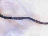 Harley Davidson Electra Glide Ultra Left Handlebar Speaker Volume & CB Switches - C3 Cycle