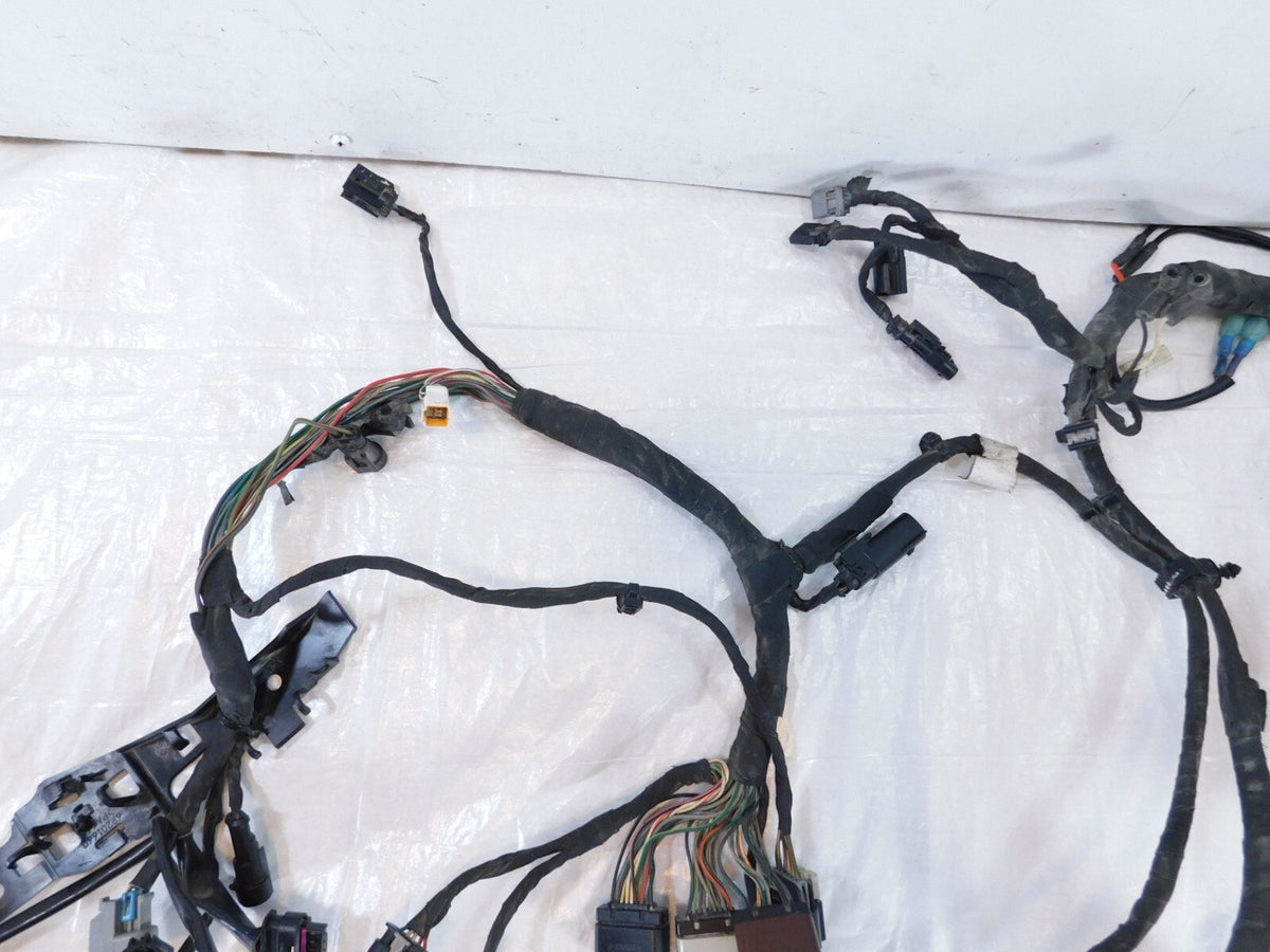 2018-2020 Harley Davidson Softail Low Rider & Fat Boy Main Wire Wiring Harness