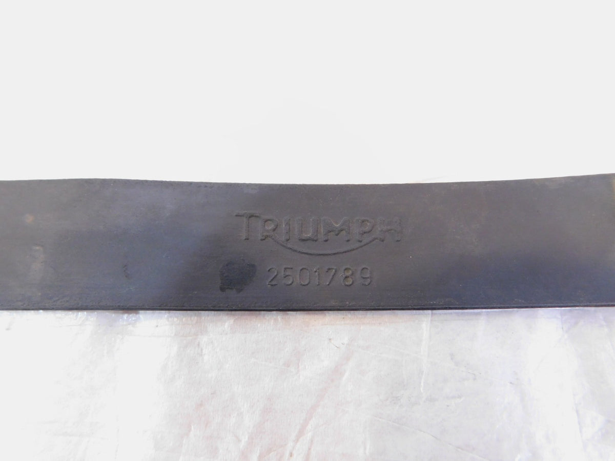 Triumph Street Triple Tiger 800 Daytona 675 Battery Box Retaining Strap - C3 Cycle